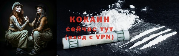 тгк Гусь-Хрустальный