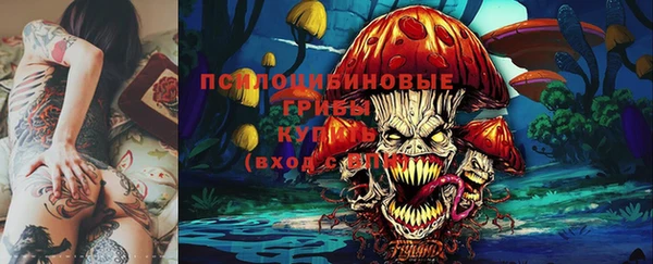 каннабис Гусиноозёрск