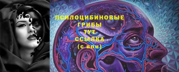 тгк Гусь-Хрустальный